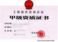 <b>工程造价咨询企业甲级资质标准有哪些？</b>